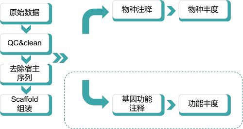 如何在济宁开展副业创收？详细开店流程解析