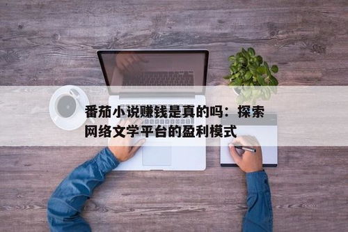 番茄小说免费阅读背后，盈利模式是怎样的？